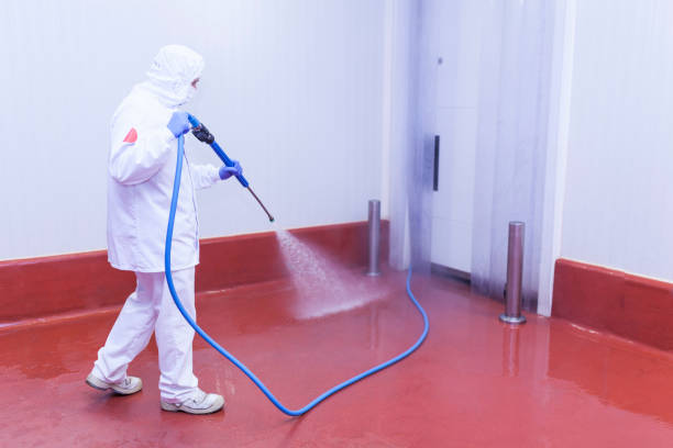Professional Pressure Washing Services in Thomasville, NC